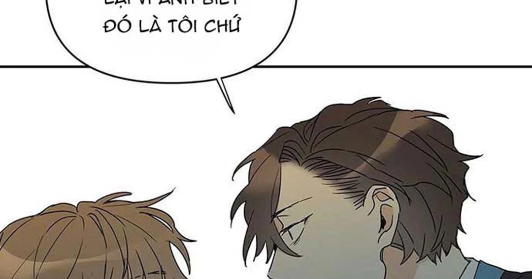 guide cấp b chapter 8 48