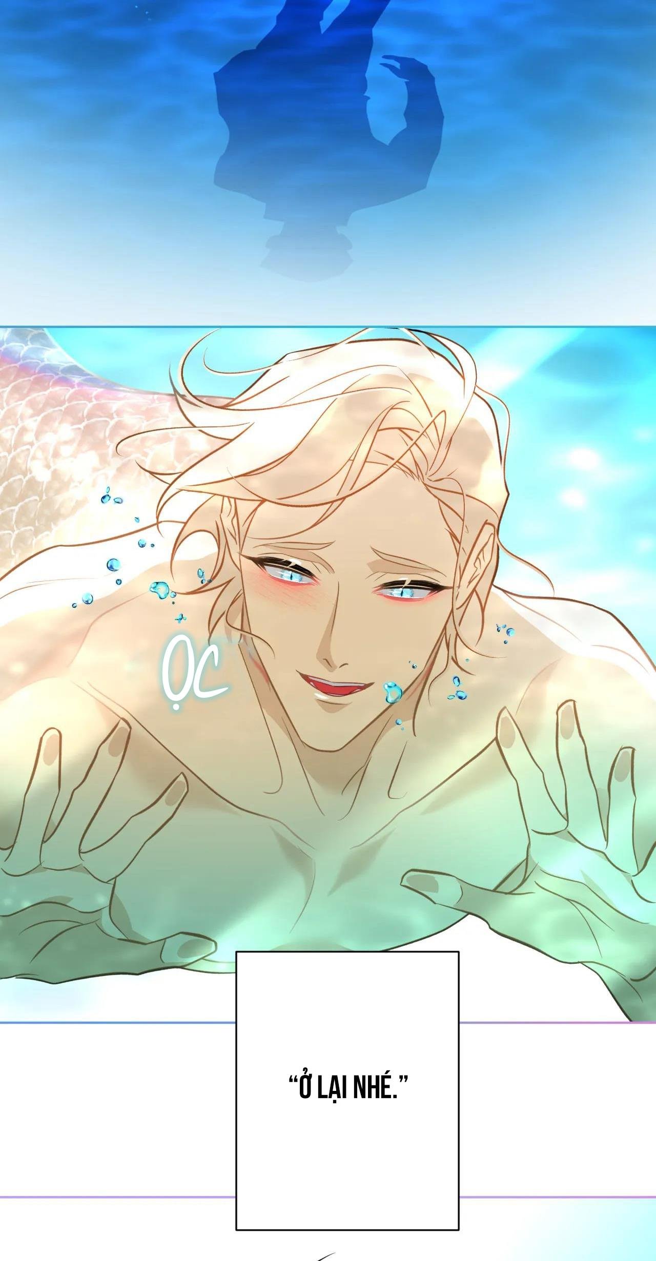 mỹ nhân ngư chapter 5 31