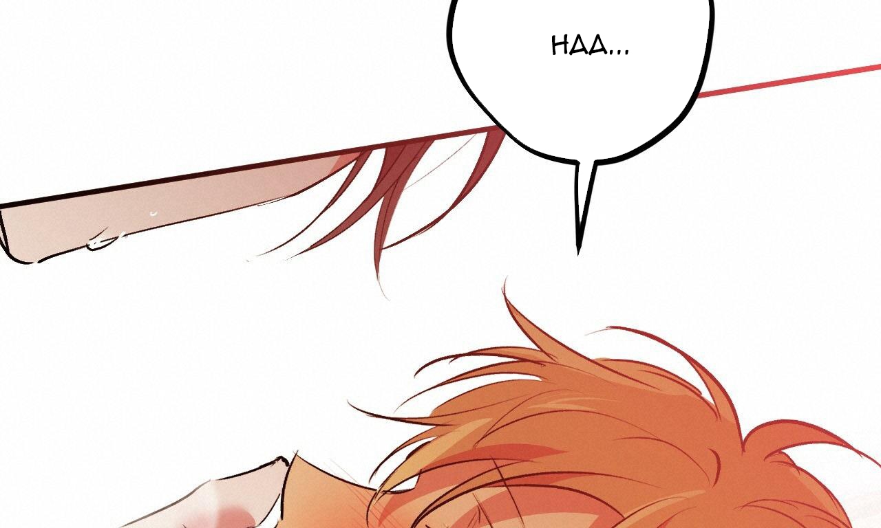 đàn thỏ của habibi chapter 43 254