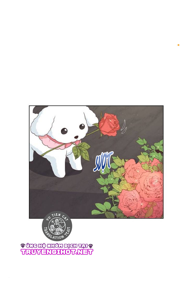 lời cầu hôn đến từ hoàng đế chapter 31.2 13