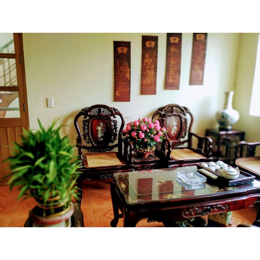 Bộ đệm ghế Sofa