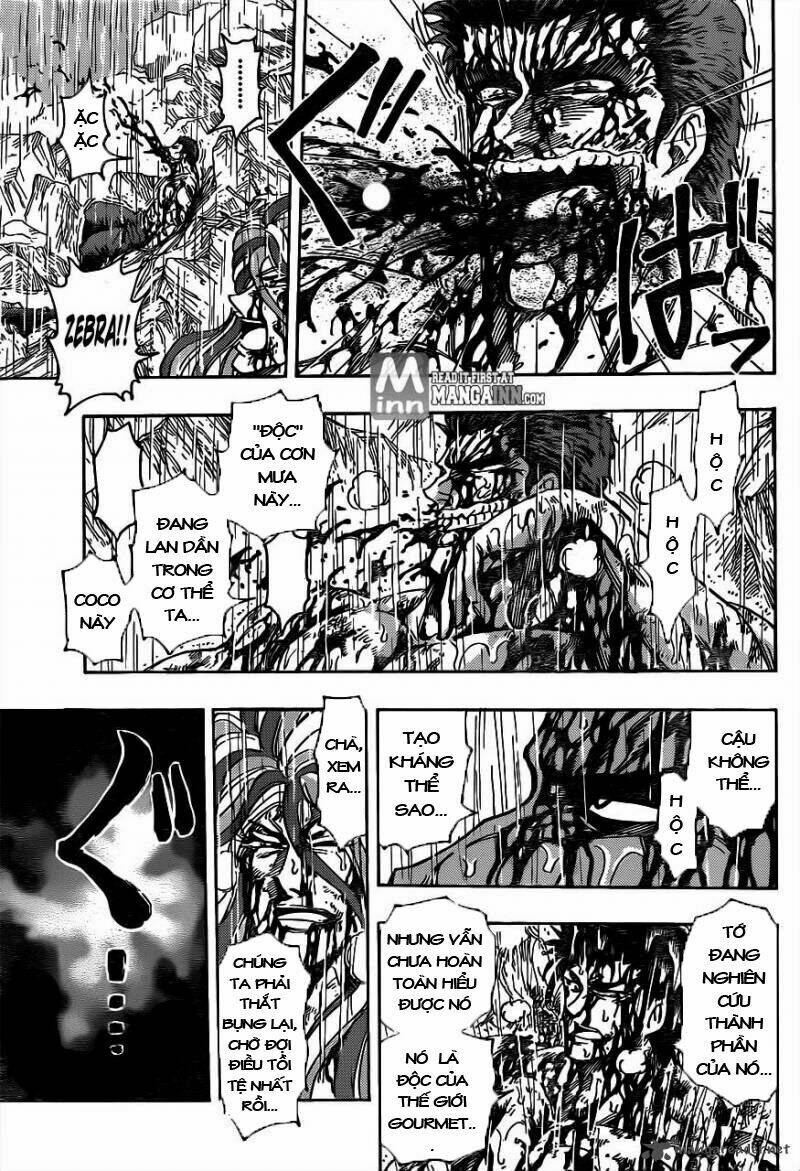 thợ săn ẩm thực chapter 205 4