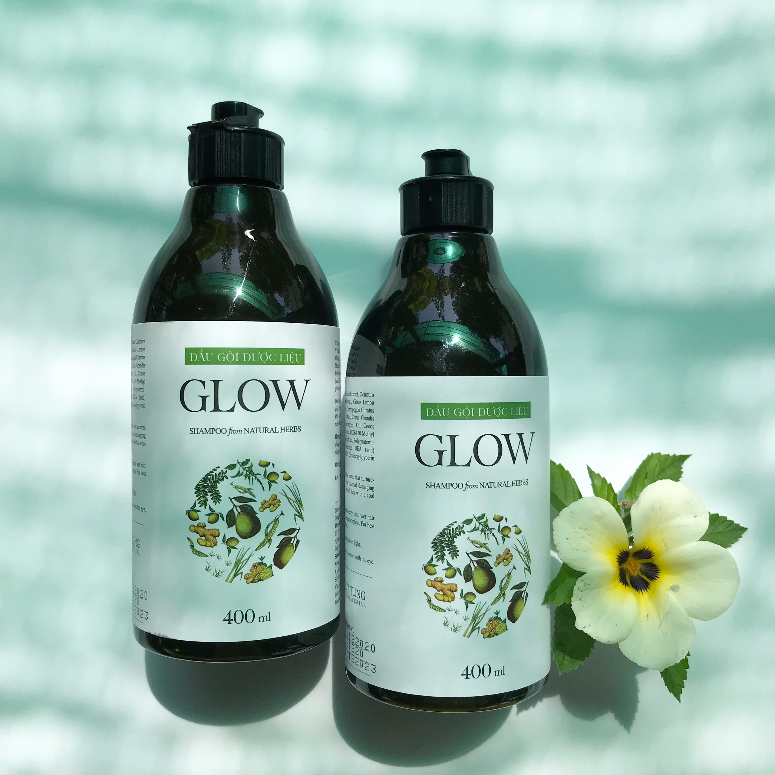 Dầu Gội Dược Liệu Glow - Tinh Chất Từ Bồ Kết Và Vỏ Bưởi, Giảm Rụng Tóc, Kích Thích Mọc Tóc,Lưu Giữ Hương Thơm Nhẹ Nhàng Tinh Tế. (Bao Bì Mới)