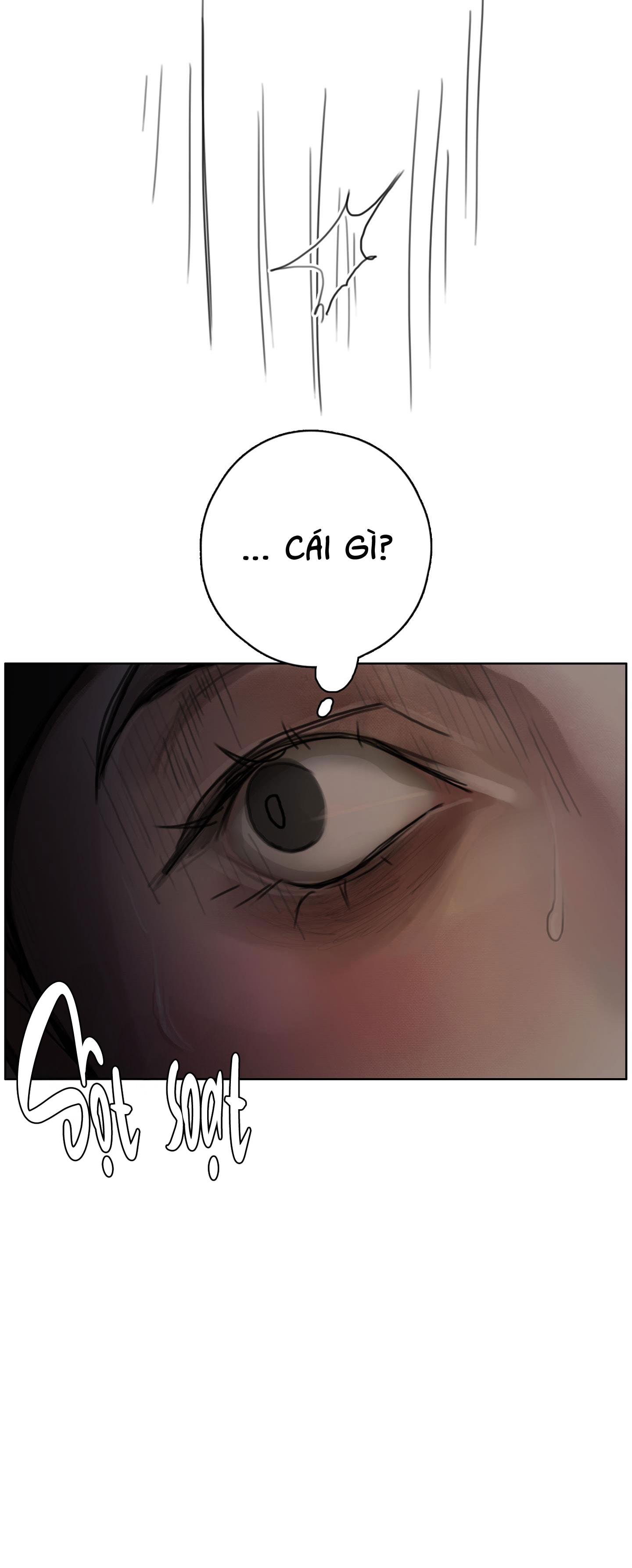 bl cổ trang - âu cổ ngắn nhà kim chapter 25.9 29