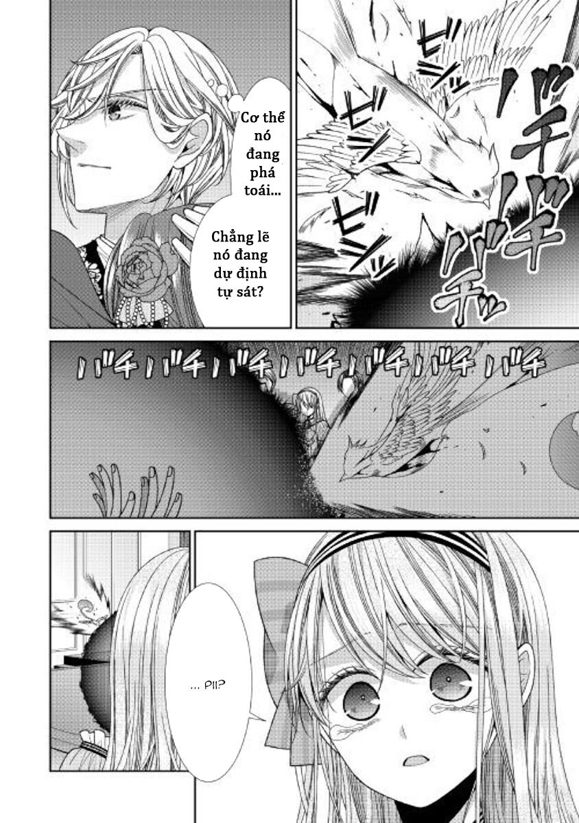 nhật ký theo dõi vị hôn thê tự nhận mình là nữ phụ phản diện 1 chapter 20 14