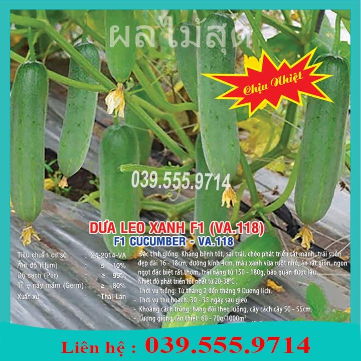 Hạt Giống Dưa Leo Xanh F1 Chịu Nhiệt – 10gram _ Dưa Siêu Năng Suất Quả Đẹp
