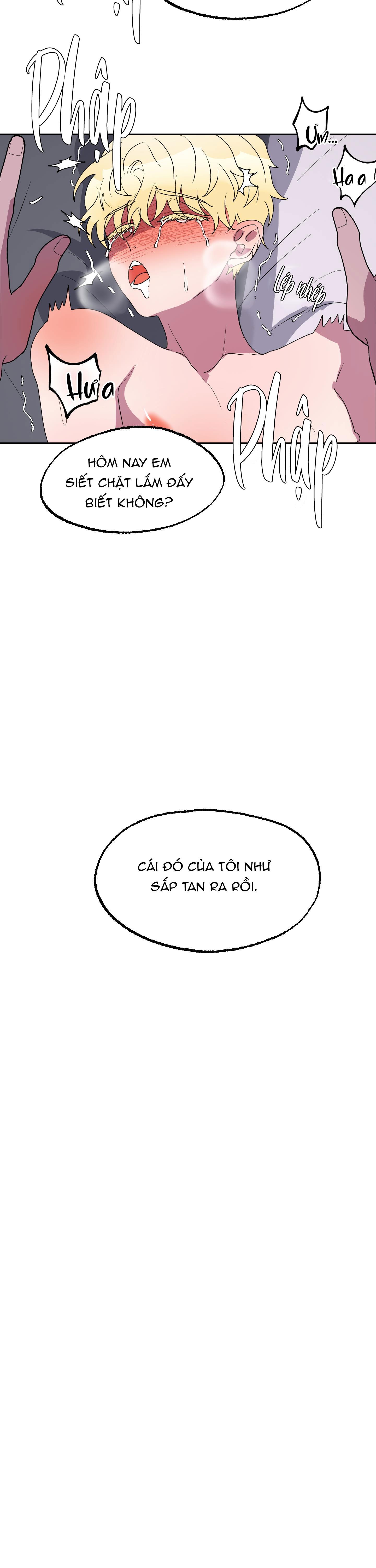 cá mập và cô dâu thỏ chapter 11 26