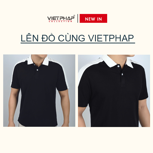 Áo Thun Polo Nam Cao Cấp VIỆT PHÁP / Form Basic - Chất liệu cotton co dãn thấm hút mồ hồi tốt 3201