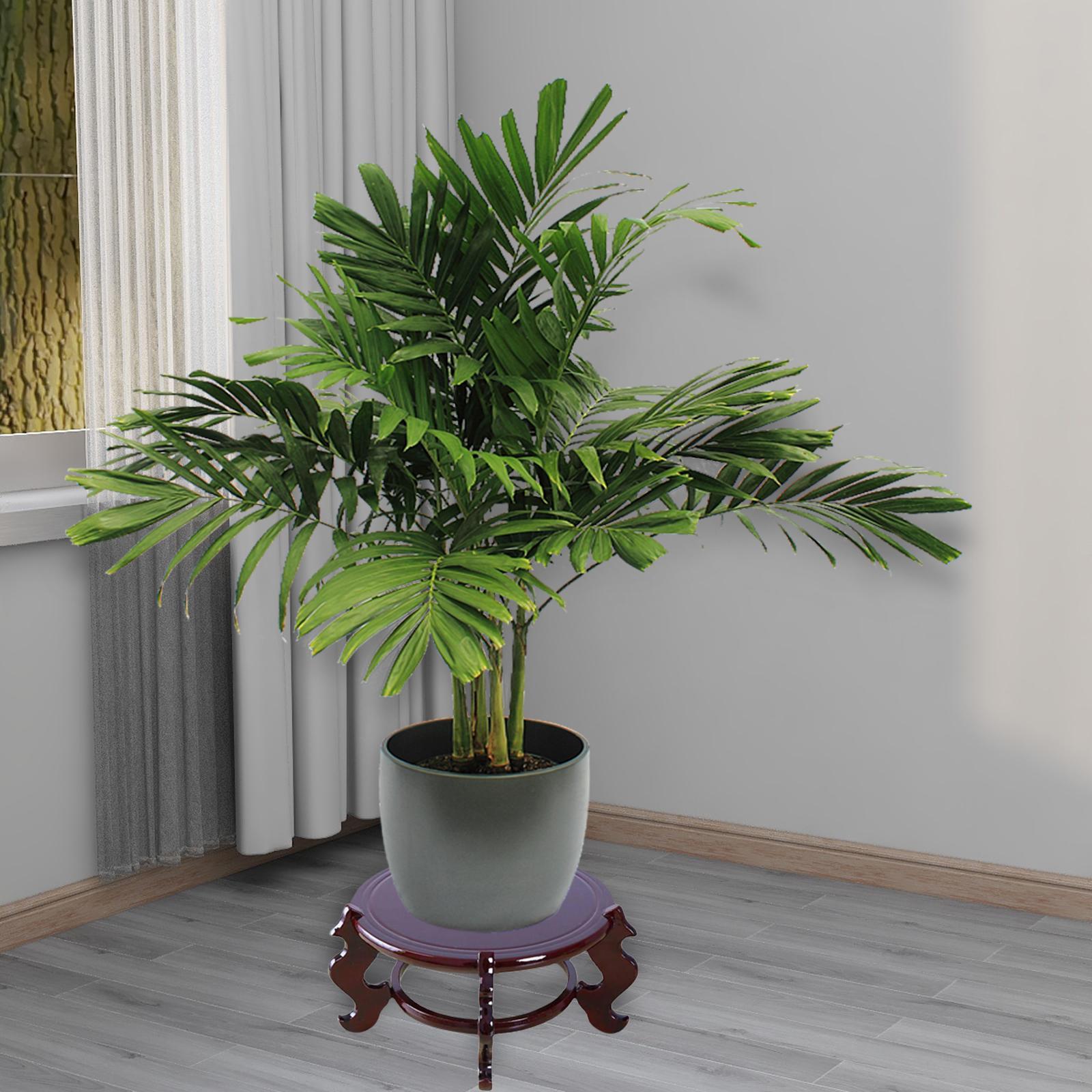 Vase Pot Planter Stand Wooden Potted Plant Stand for Office Indoor Courtyard