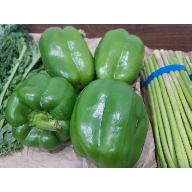 Sản phẩm ỚT NGỌT ĐÀ LẠT CÂY ĐANG SẴN QUẢ