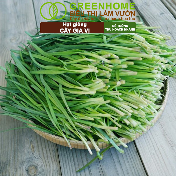 Hạt Giống Gia Vị Greenhome, Nhiều Loại, Trồng Chậu, Dễ Trồng, Chịu Nhiệt, Trồng Quanh Năm, Năng Suất