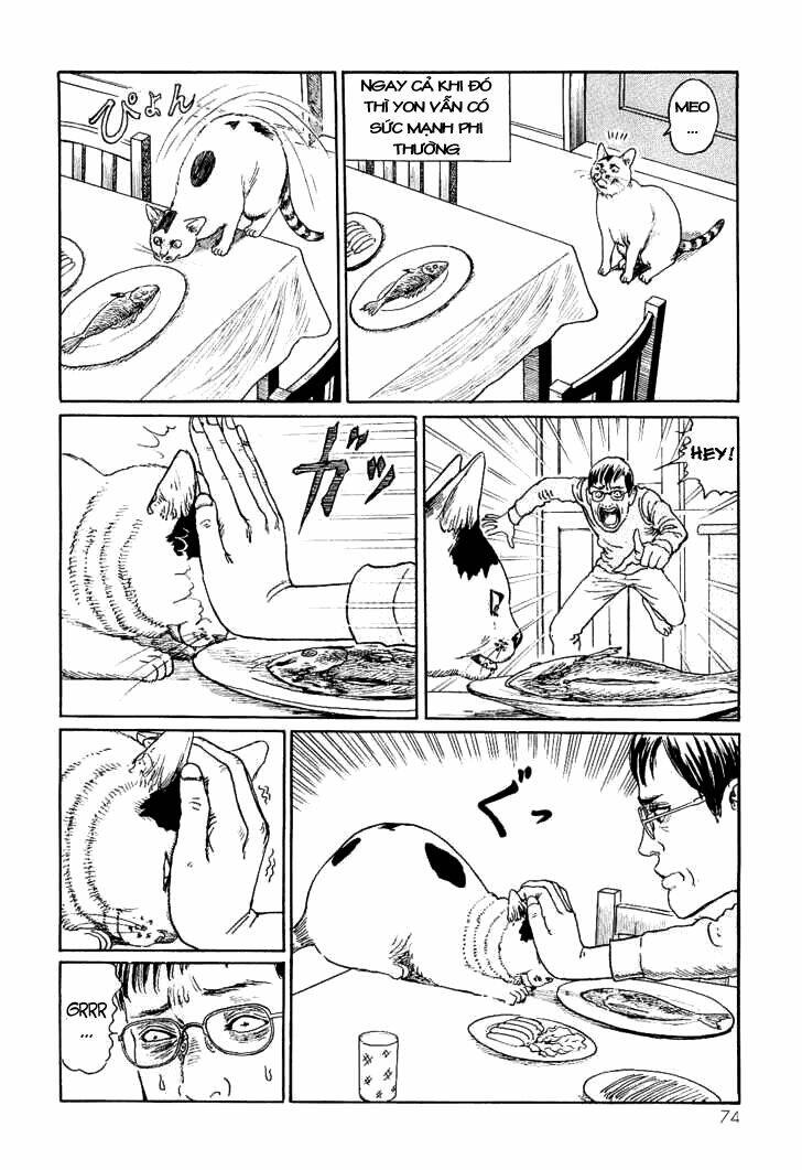 ito junji cat's diary chapter 7 6