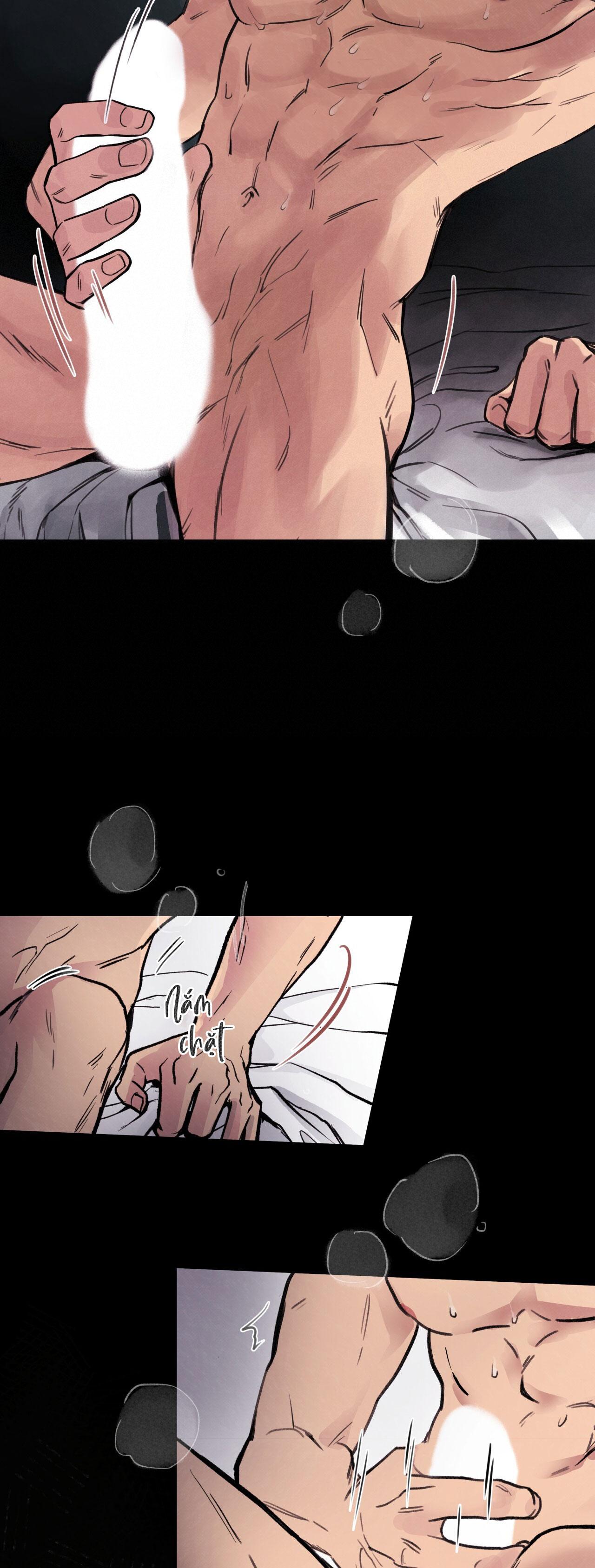 mật gấu chapter 1 8