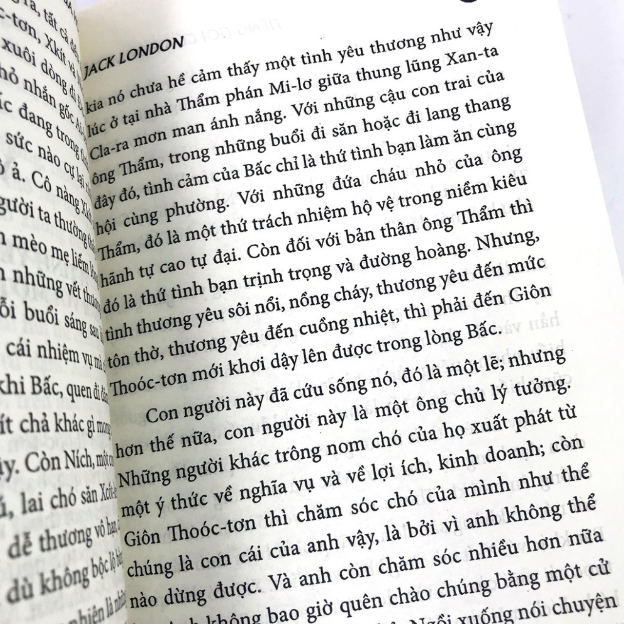 Sách Văn Học - Ông già và biển cả + Nanh Trắng + Tiếng Gọi Của Hoang Dã