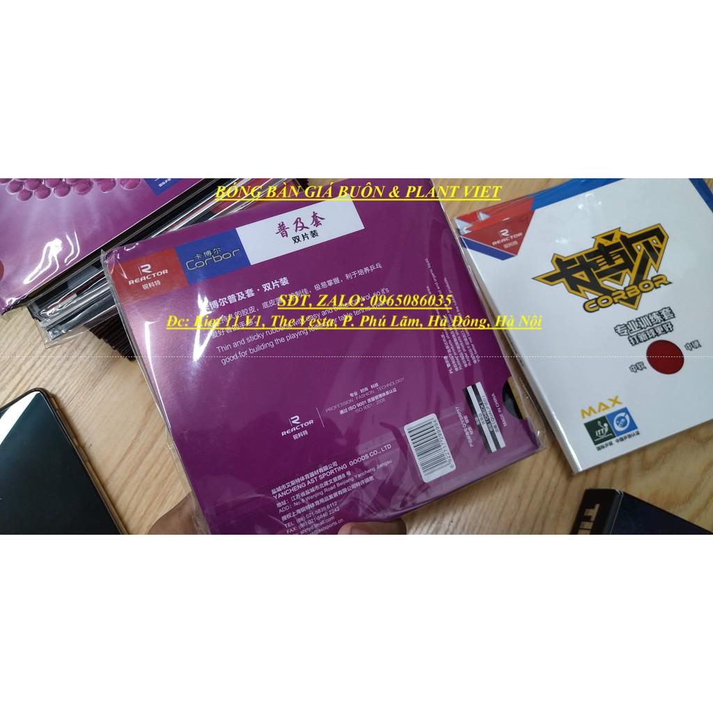 COMBO 2 MẶT VỢT BÓNG BÀN REATOR CORBOR TÍM tặng kèm keo sữa viền vợt