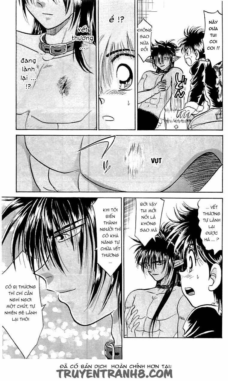 wild half chapter 9 13