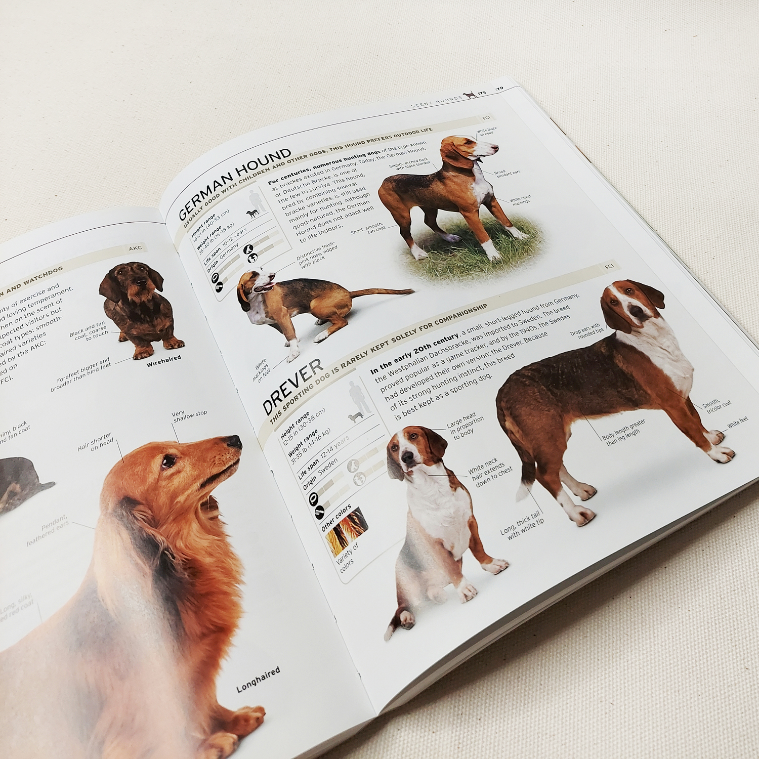 Sách ngoại văn - The Complete Dog Breed Book : Choose The Perfect Dog For You
