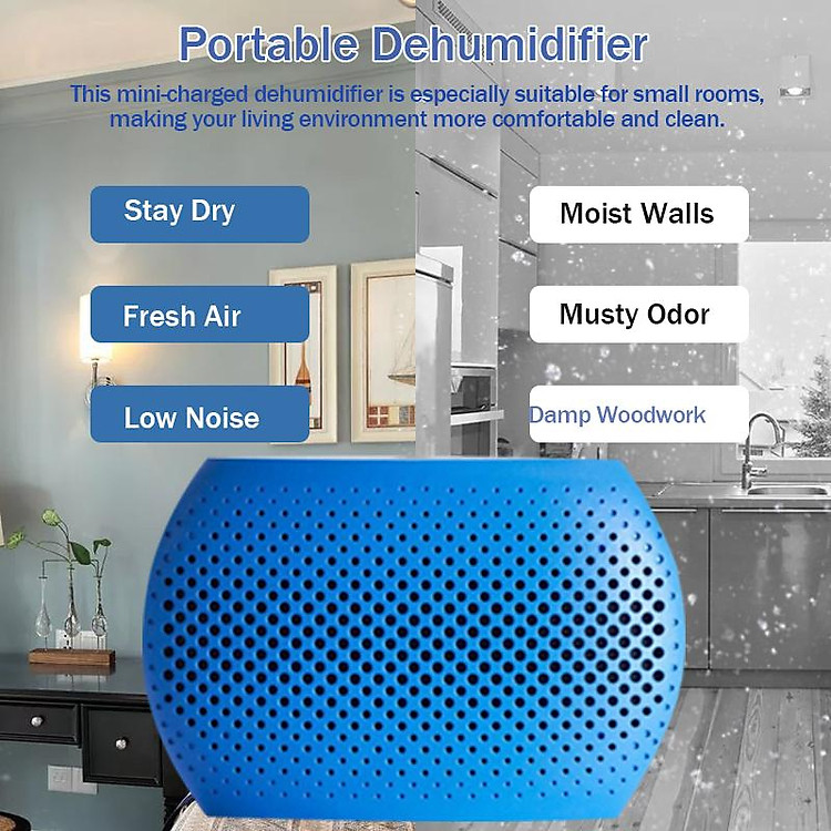 Máy hút ẩm mini hỗ trợ sấy INVITOP CycleAir DeHumidifie