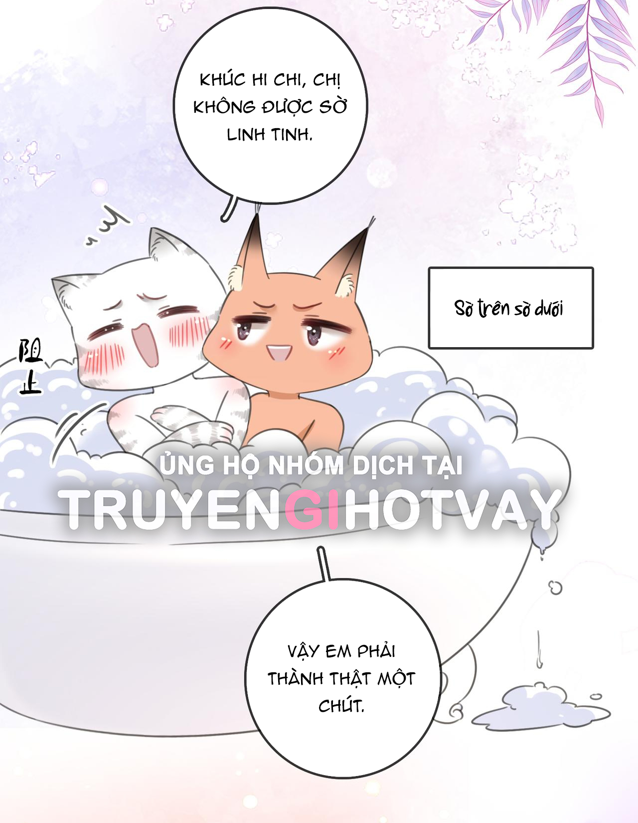 cố tiểu thư và khúc tiểu thư chapter 88 15