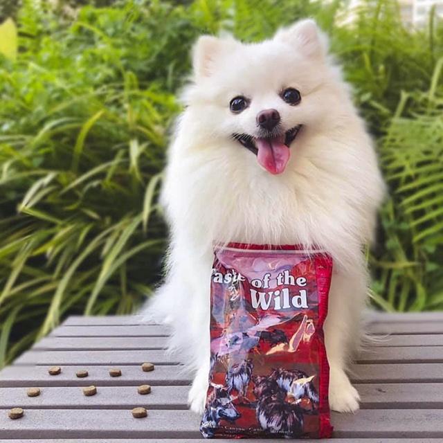 Thức Ăn Cho Chó Samoyed Taste Of The Wild Bao 500g Lông Bóng Mượt - Southwest Canyon Thịt Heo, Trái Cây Rau Củ Quả