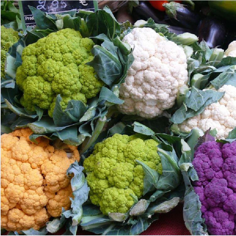 Combo 4 gói hạt giống súp lơ các loại-gói 1gram-tặng kèm gói phân bón lót