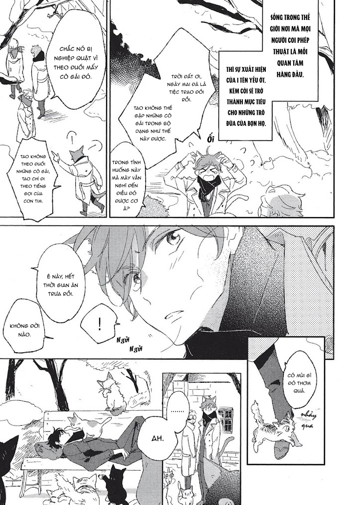 neko to mahou wa kiss de hodokeru chapter 1 3