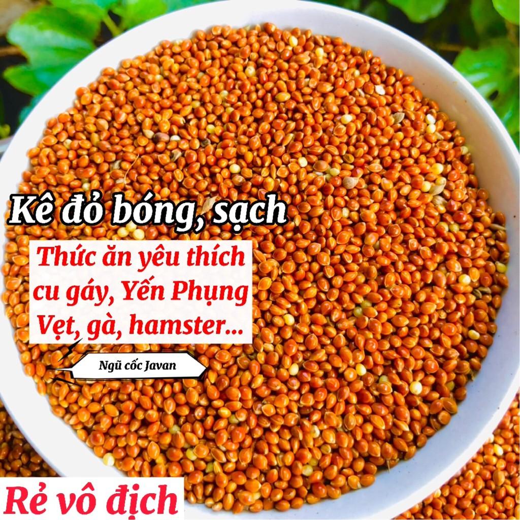 Hạt kê, kê đỏ hạt bóng cho chim cảnh, Vẹt, chim Yến Phụng, chim cu gáy, Hamster và các dòng chim sẻ