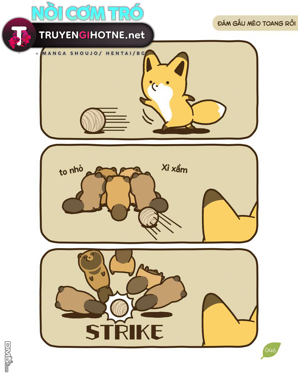 cáo và gấu mèo chapter 11 5