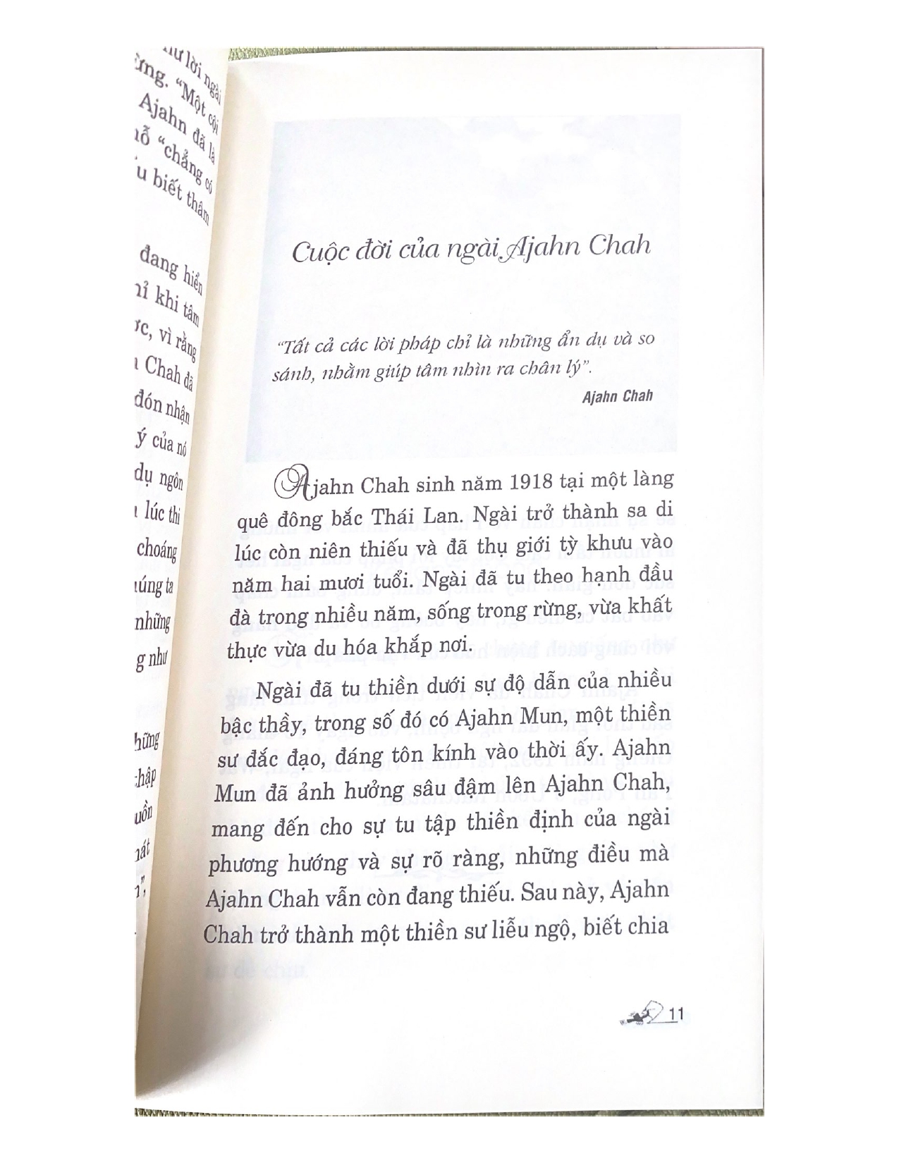 Một Cội Cây Rừng