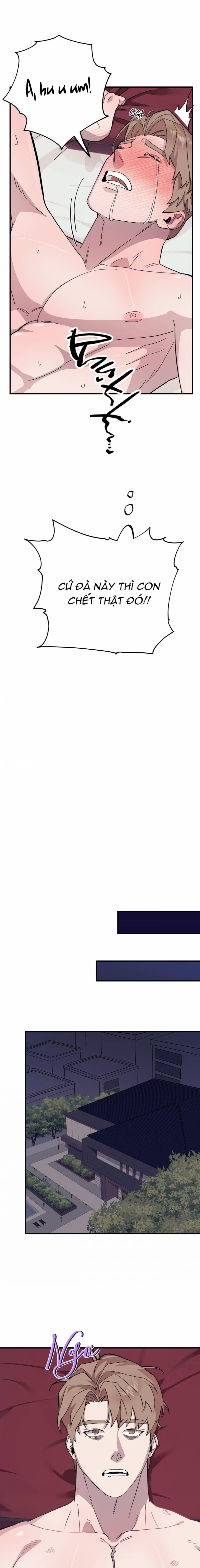 chàng dâu nhà họ kang chapter 51 3