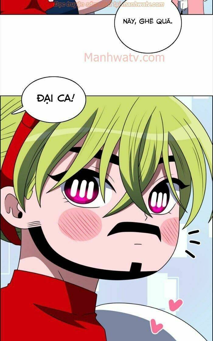 no scope chapter 37 47