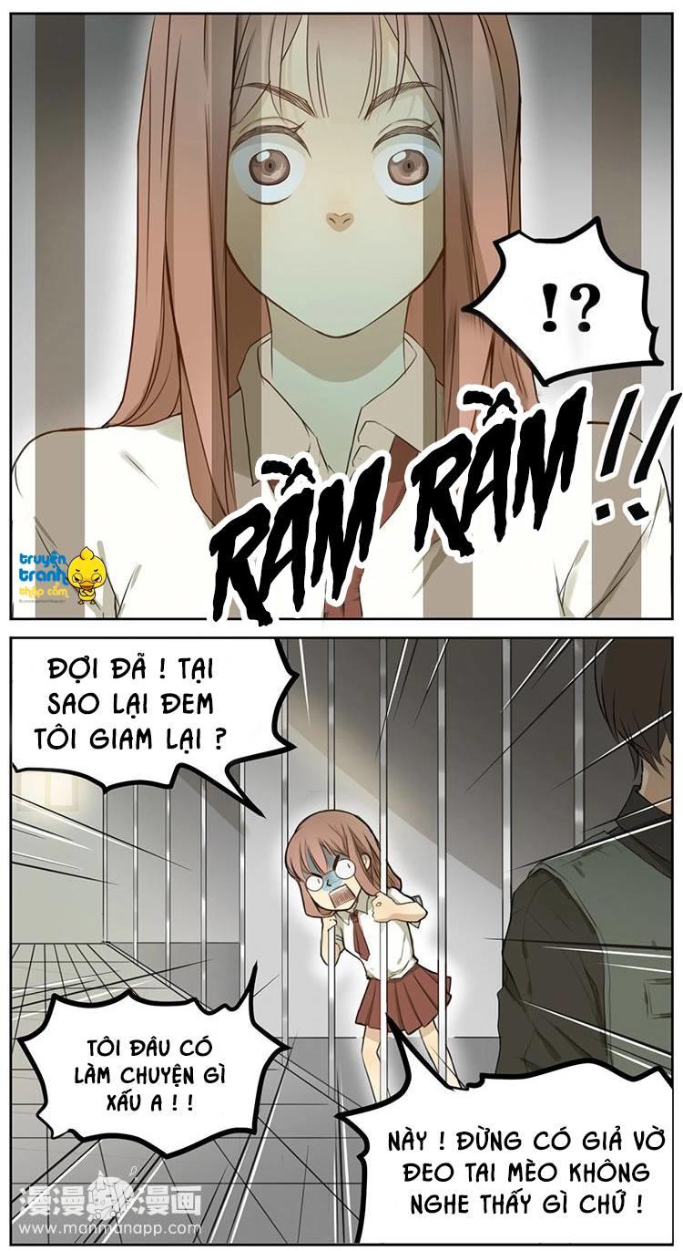 cứu mạng ! loài mèo thống trị thế giới rồi ! chapter 2 18