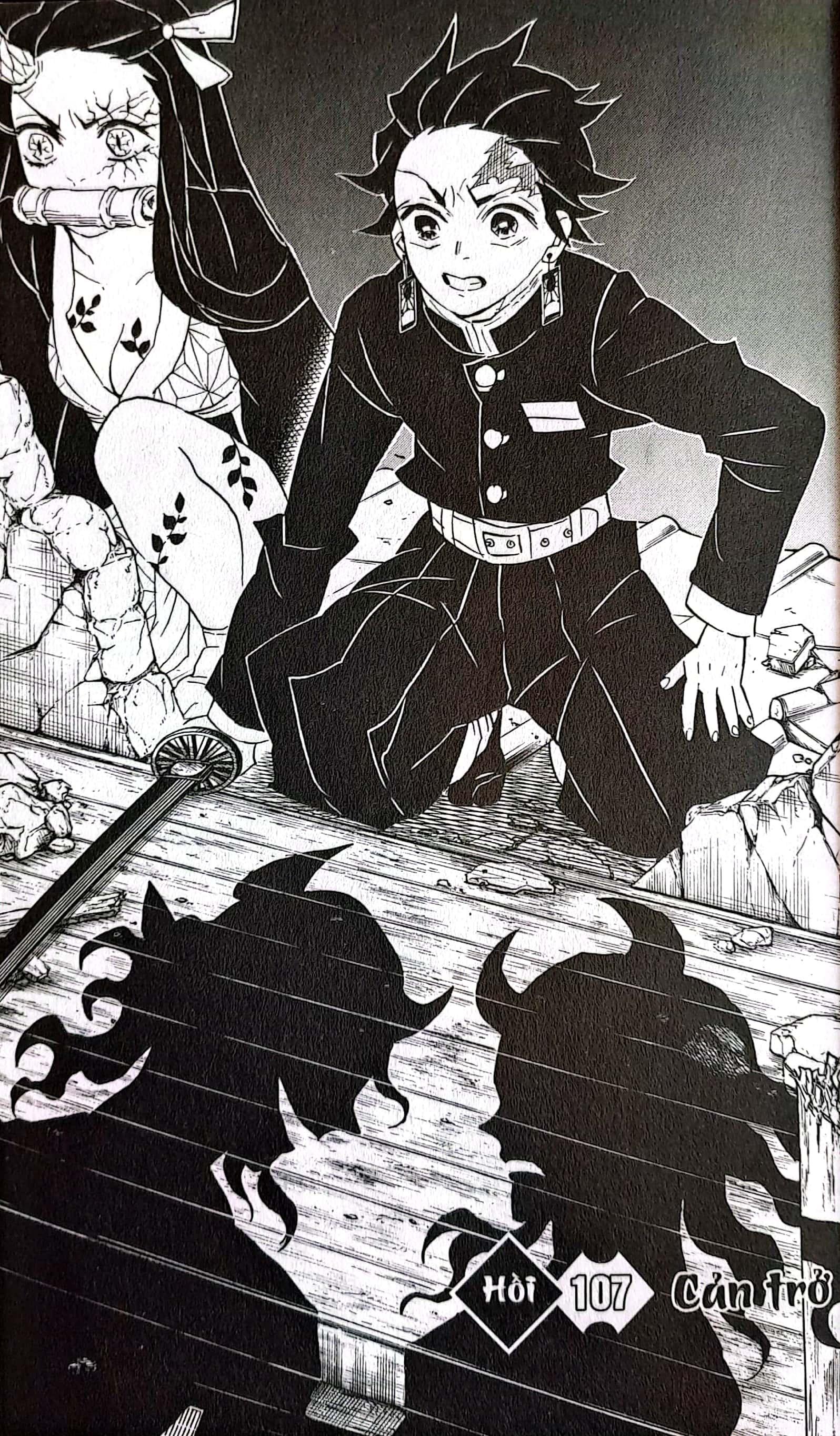 Sách - Thanh Gươm Diệt Quỷ - Kimetsu No Yaiba - Tập 13 - Biến Đổi (Tái Bản 2025)