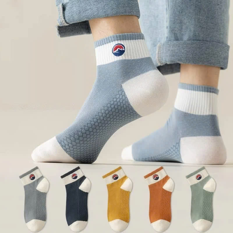 Tất Nữ, Combo 5 Đôi Tất Nữ Cổ Ngắn, Mẫu Tất Nữ Hình Gấu Nhiều Màu Dễ Thương Thời Trang - Giao Mẫu Ngẫu Nhiên