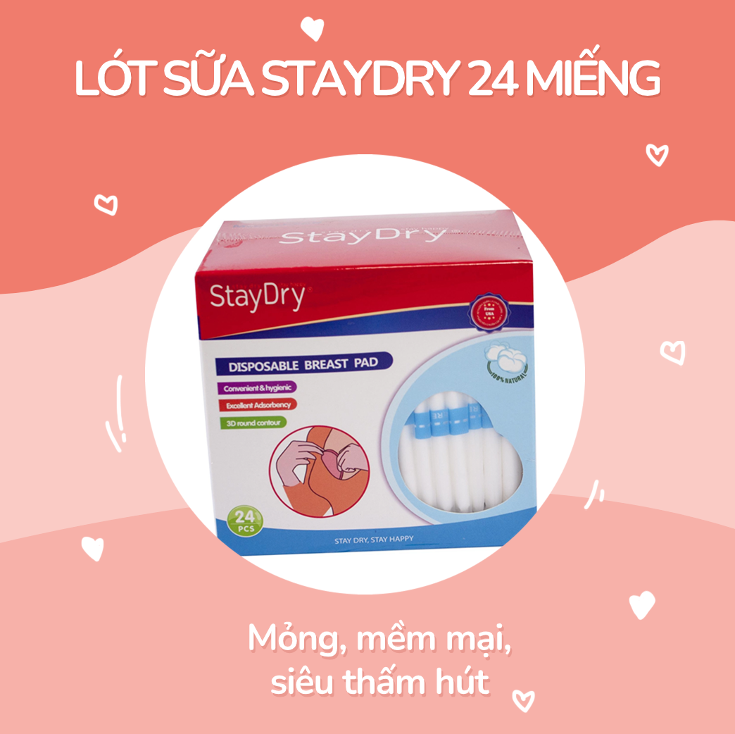 Miếng Thấm lót sữa StayDry (24 miếng)