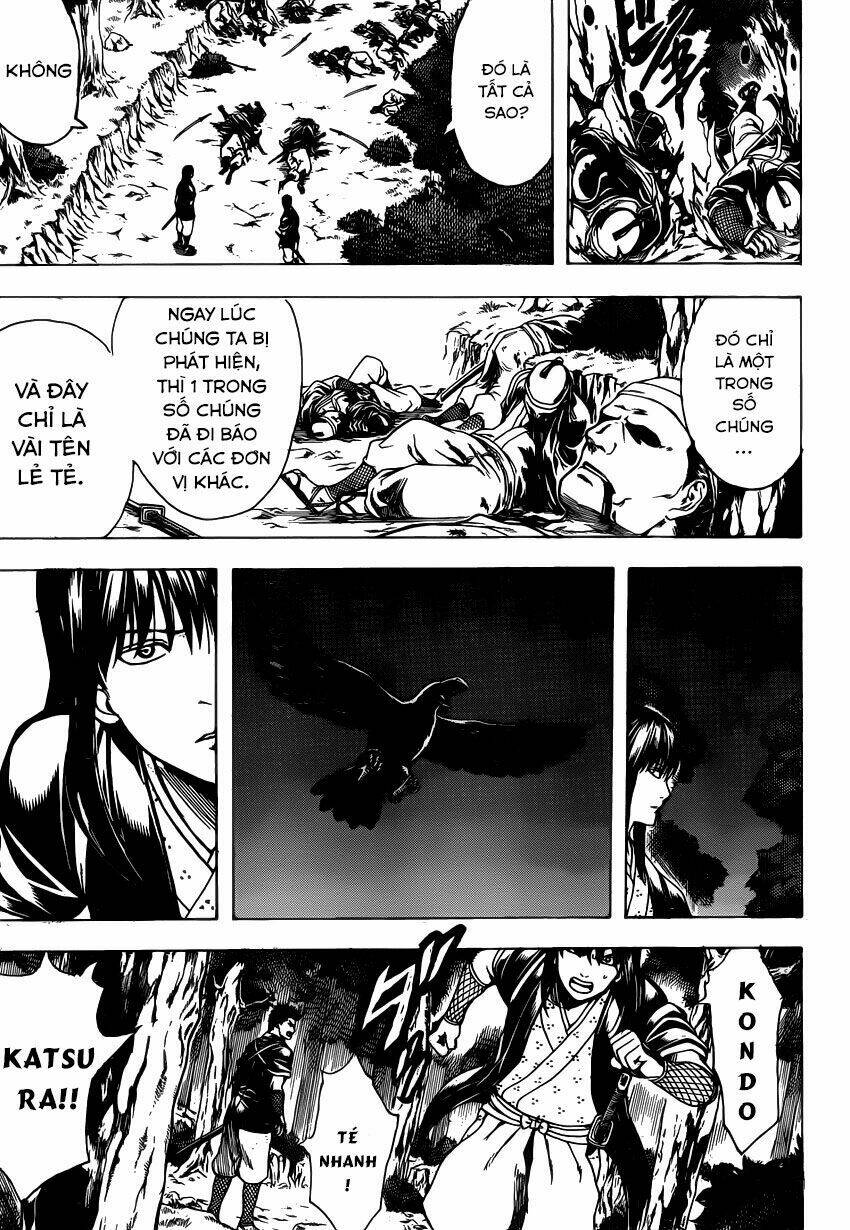 gintama - linh hồn bạc chapter 534 7