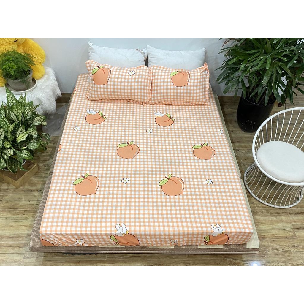 Set ga 3 món 1 ga chun và 2 vỏ gối các kích thước