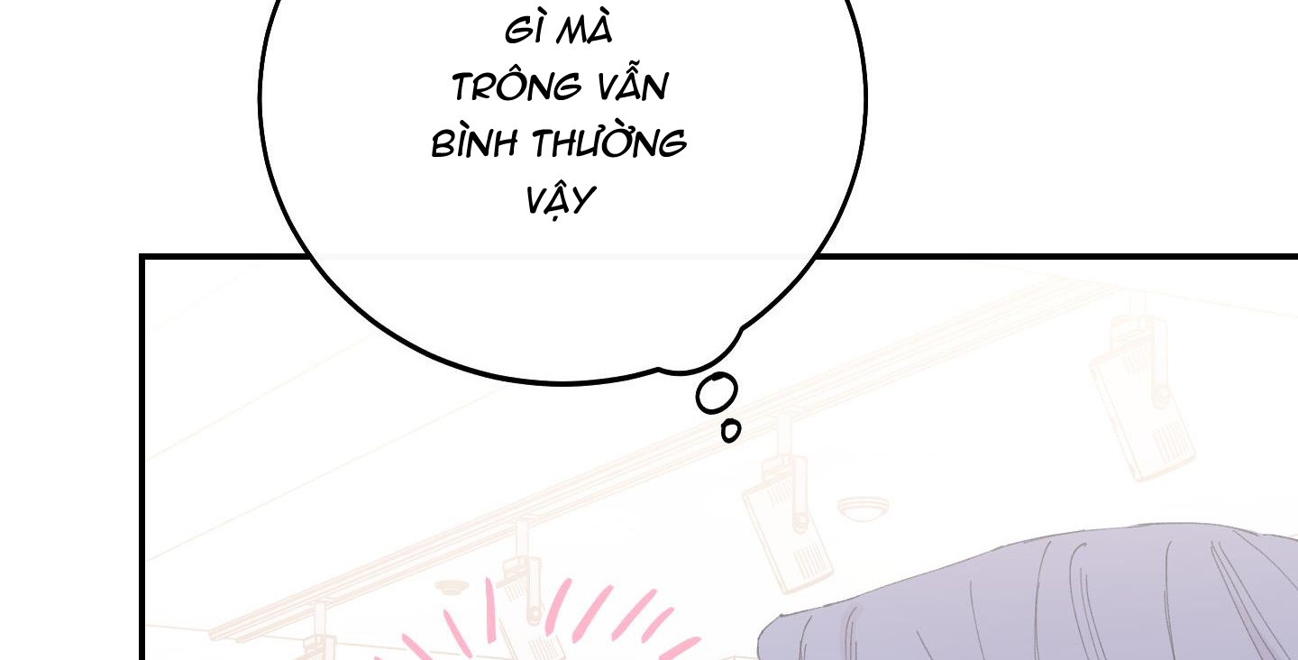 lãng mạn giả dối chapter 10 96