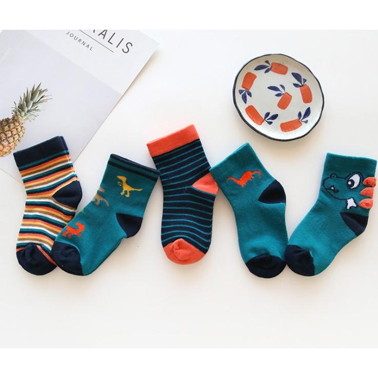 Set 5 đôi tất hình chusu khủng long cho bé trai