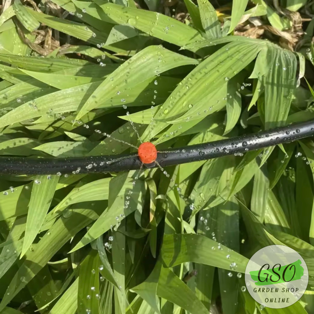 Béc Phun Nước Nhỏ Giọt 8 Tia