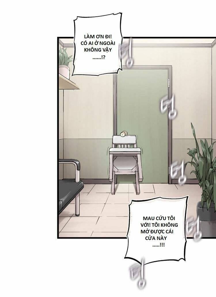 diamond dust chapter 12 50