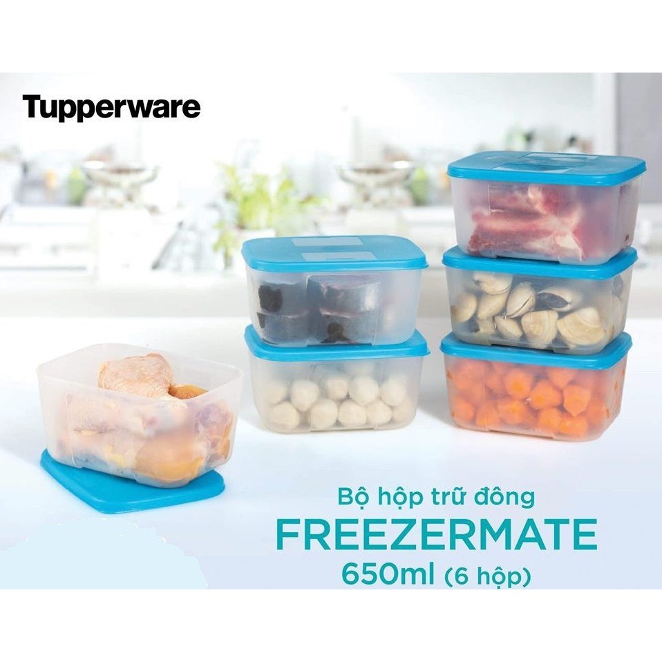 Bộ Hộp Tupperware Trữ Đông Freezermate 650ml (6 Hộp) - Hàng Chính Hãng