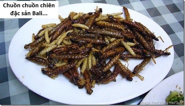 sự lụi tàn của usuzumi chapter 118 22