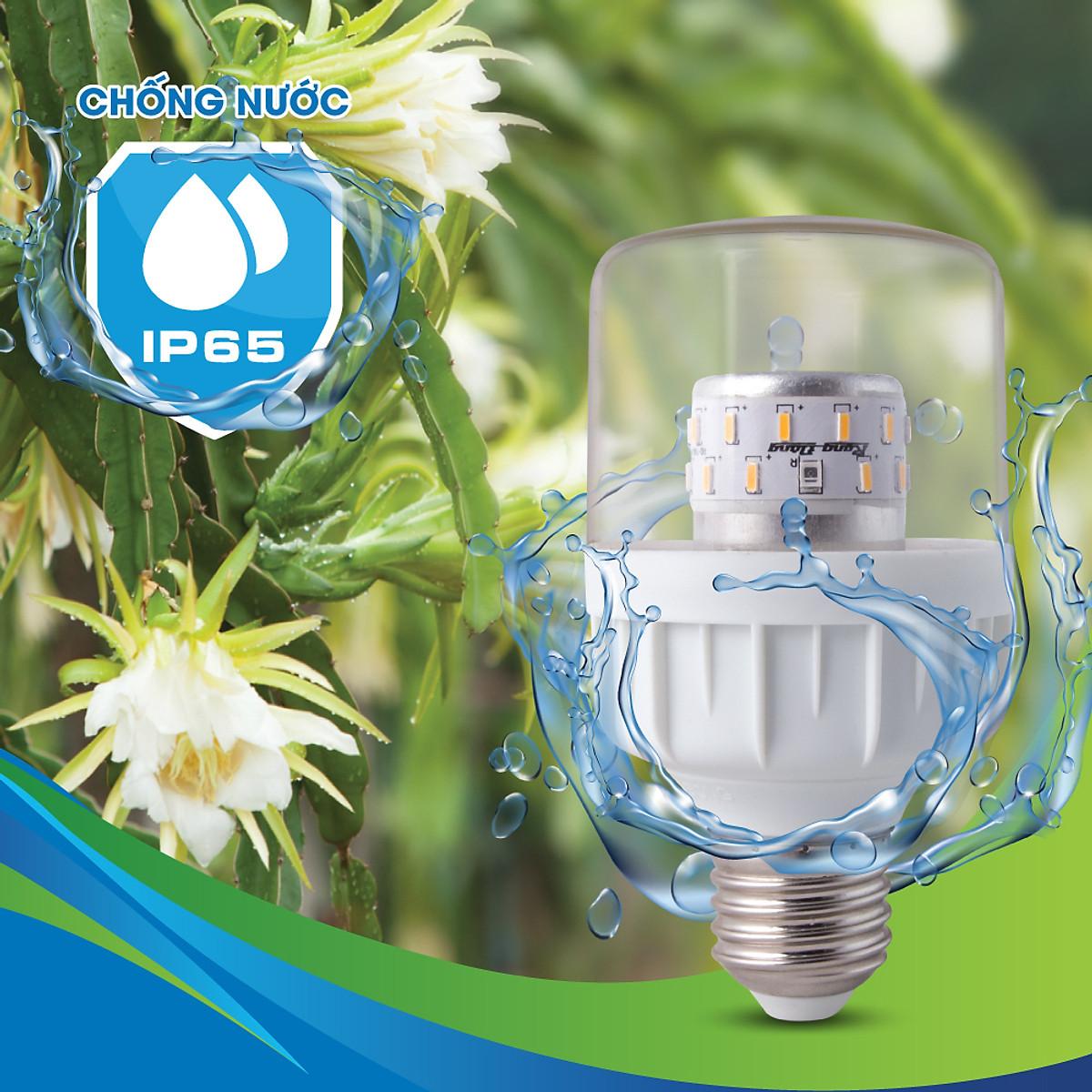 Đèn LED trồng cây Thanh long, chong đèn Thanh long quang hợp chính hãng Rạng Đông TL-T60 WFR, 9W