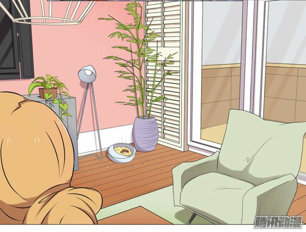 hai chú mèo totem chapter 36 11