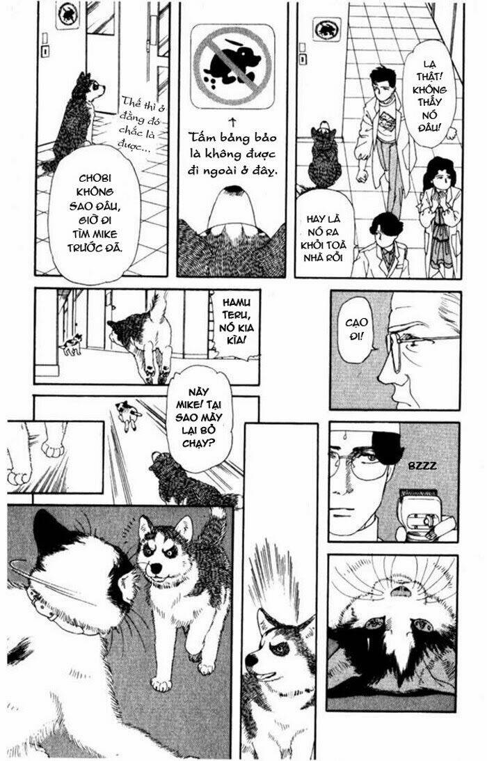 bác sĩ thú y chapter 6 13