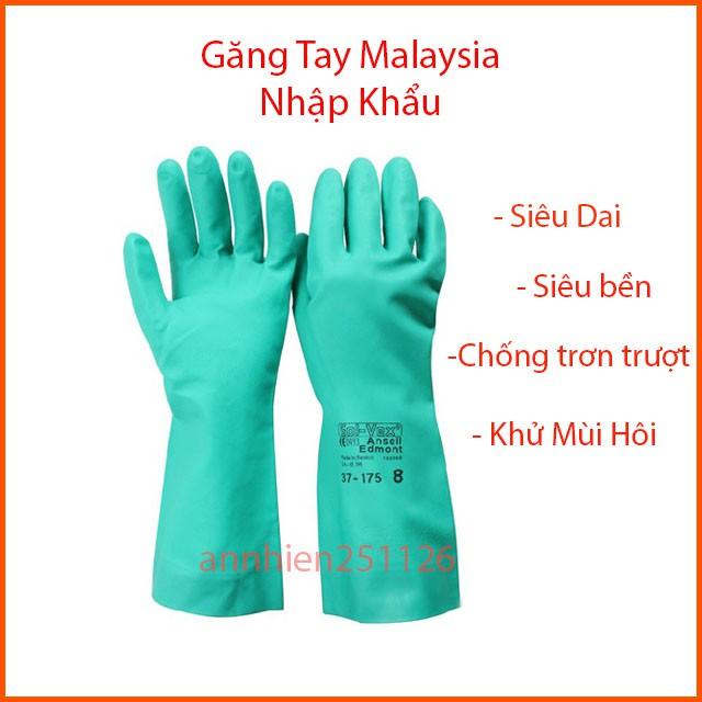 Găng Tay Malaysia Nhập Khẩu - Chống Hôi Tay