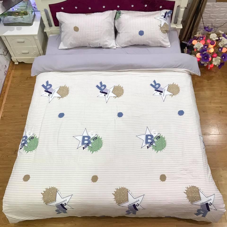 Set chăn ga gối đũi cotton