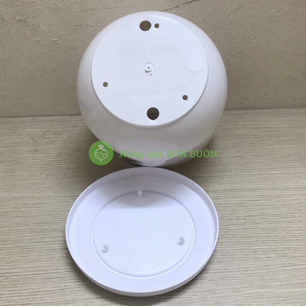 5 Chậu Trồng Hoa, Cây Cảnh Tròn Sứ 170x130 Có Kèm Đĩa Lót - Nhựa Đức Minh