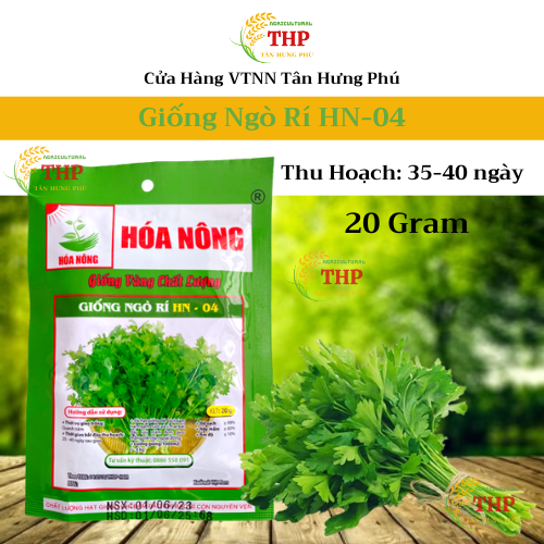 Hạt giống Ngò Rí HN-04 | Hạt Giống | gói 20gr